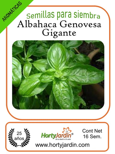 Genovese Basil Seeds