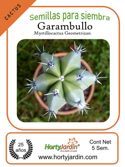 Garambullo seeds