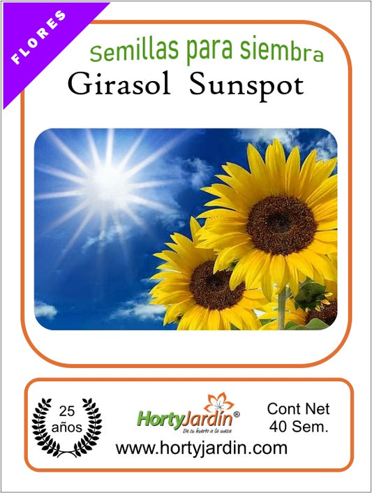 Semillas de Girasol Sunspot