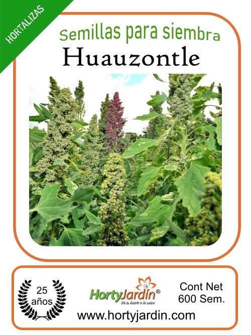 Huauzontle seeds