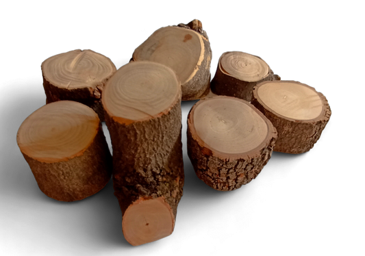 Wooden logs for Crafts # 1