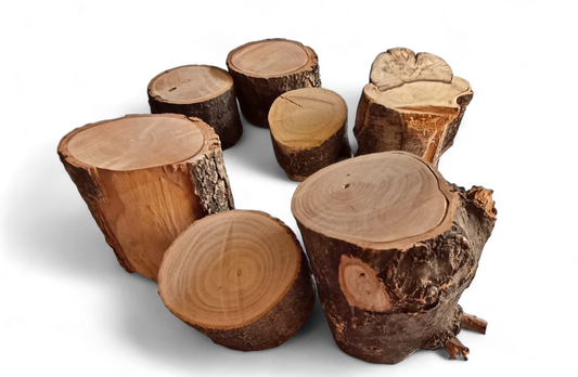 Wooden logs for Crafts # 2