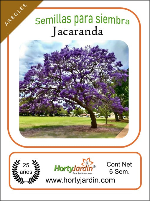 Semillas de árbol Jacaranda