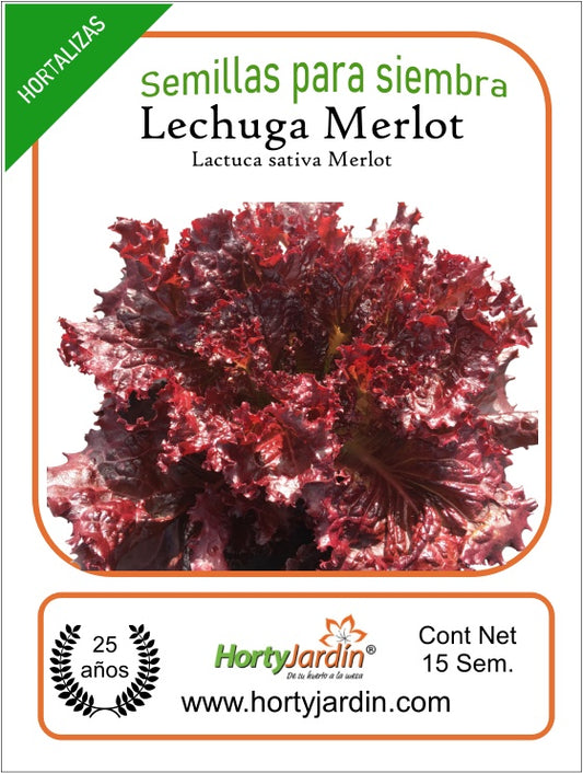 Semillas de Lechuga Merlot