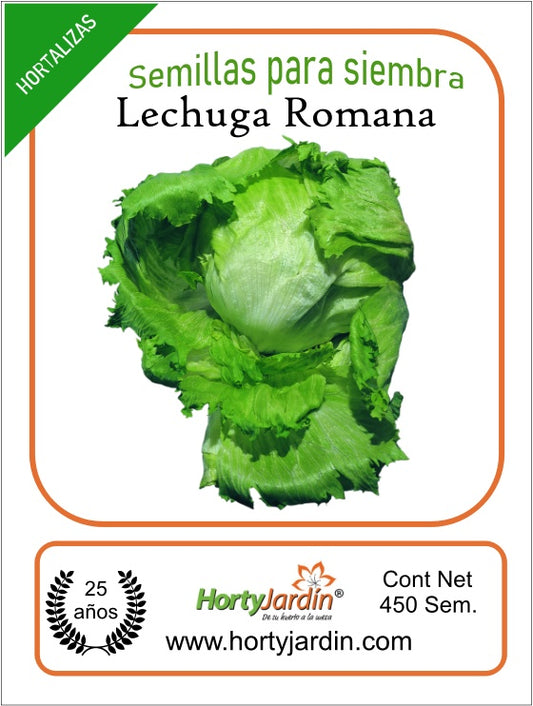 Romaine Lettuce Seeds