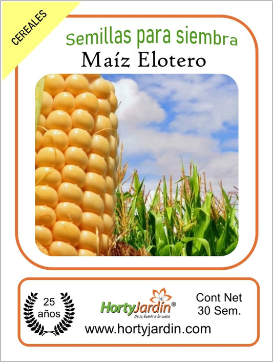 Elotero Corn Seeds 