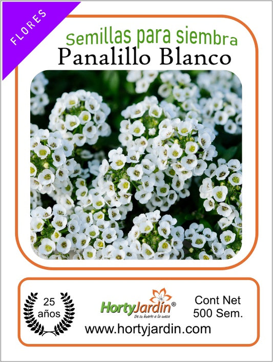 Panalillo Blanco Seeds