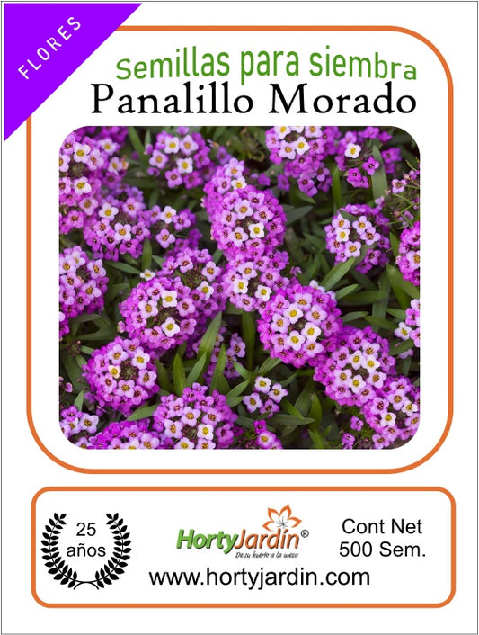 Purple Panalillo Seeds