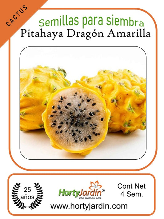 Yellow Dragon Pitaya Seeds