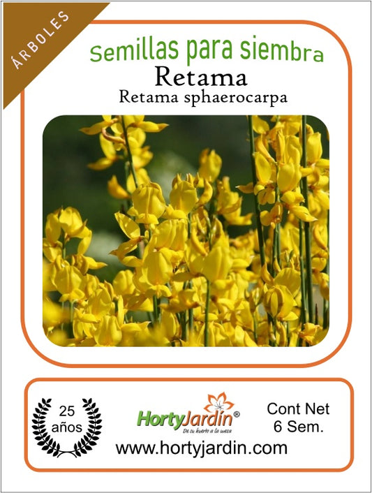 Retama bush seeds