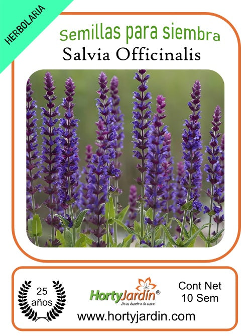 Semillas de Salvia Officinalis