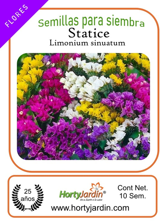 Semillas de Statice (Limonium Sinuatum)