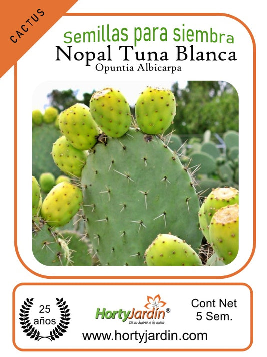 White Prickly Pear Nopal Seeds