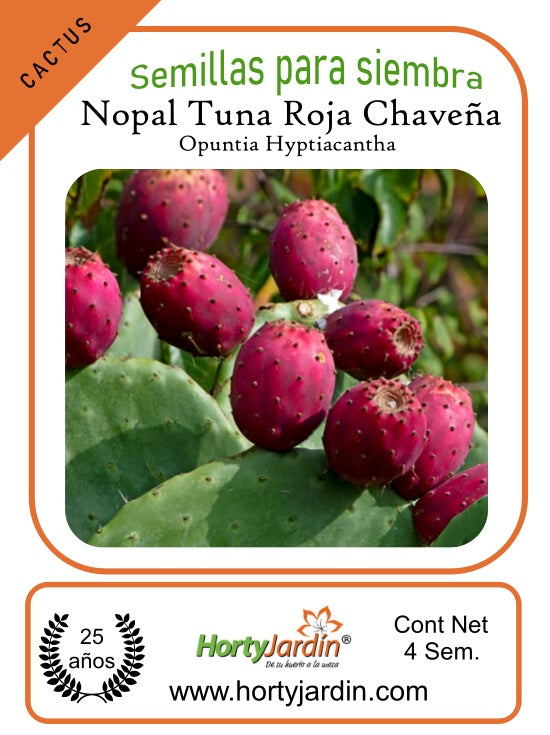 Chaveña Red Prickly Pear Nopal Seeds