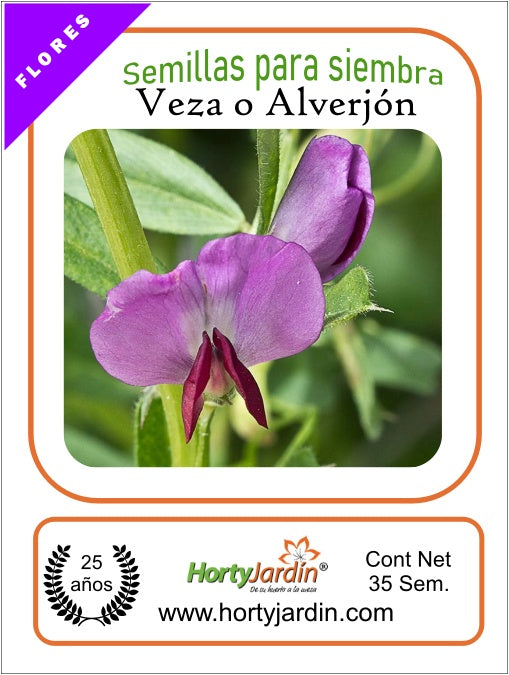 Vetch Seeds - Alverjón