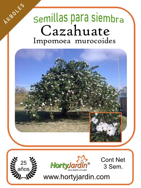 Semillas de árbol Cazahuate
