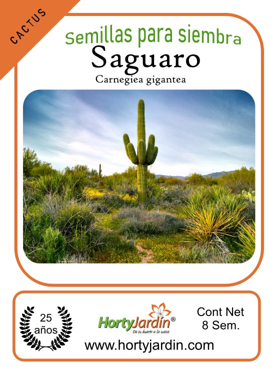 Semillas de Saguaro **
