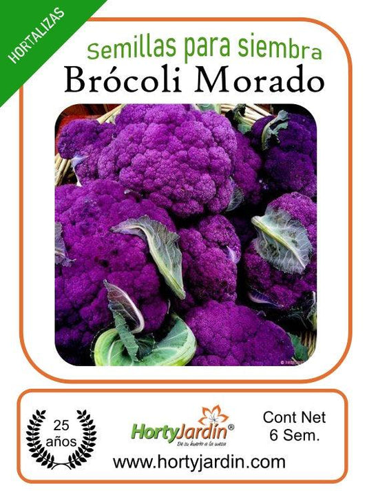 Semillas Brócoli Morado - Hortyjardín