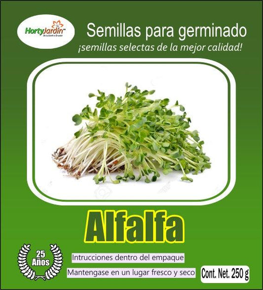 Semillas de Alfalfa para Germinados 250 g - Hortyjardín