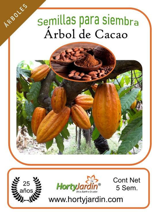 Semillas de árbol de Cacao sobre - Hortyjardín