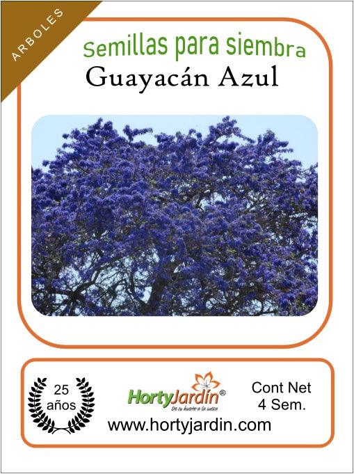 Semillas de árbol de Guayacán Azul - Hortyjardín