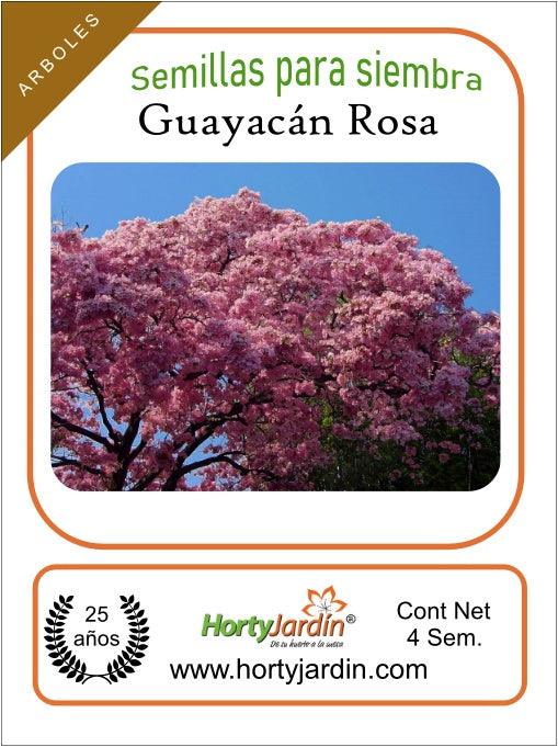 Semillas de árbol de Guayacán Rosa - Hortyjardín