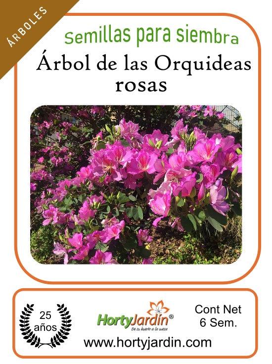 Semillas de árbol de las Orquídeas Rosas - Hortyjardín