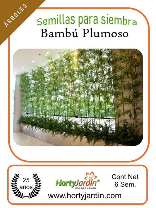 Semillas de Bambú Plumoso sobre - Hortyjardín
