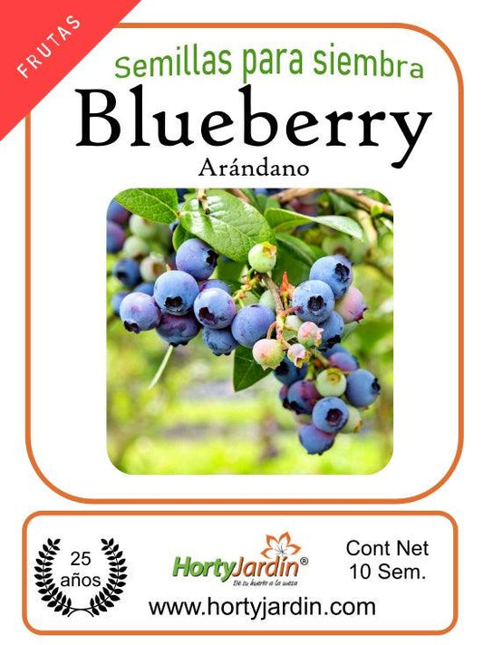 Semillas de Blueberry - Arándano sobre - Hortyjardín