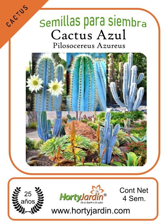 Semillas de Cactus Azul - Hortyjardín