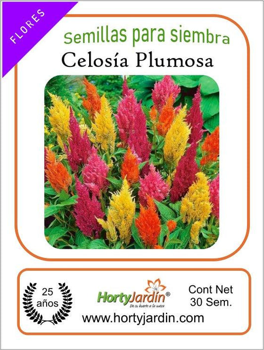 Semillas de Celosia Plumosa - Hortyjardín