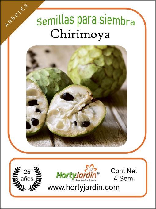 Semillas de Chirimoya sobre - Hortyjardín