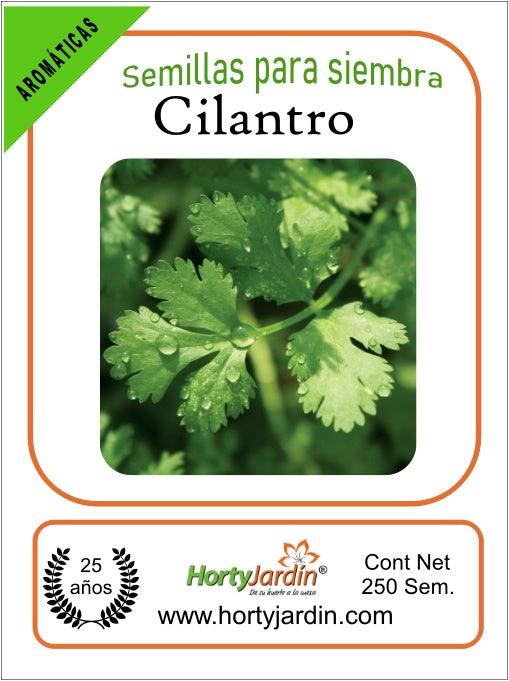 Semillas de Cilantro sobre - Hortyjardín