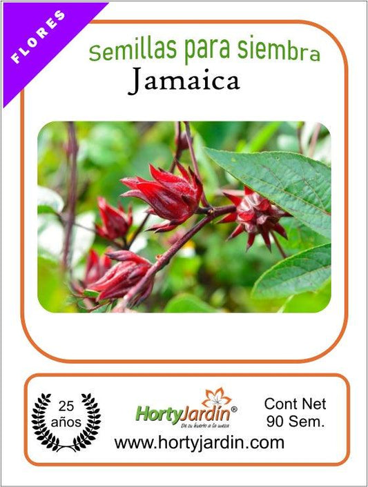 Semillas de Flor de Jamaica sobre - Hortyjardín