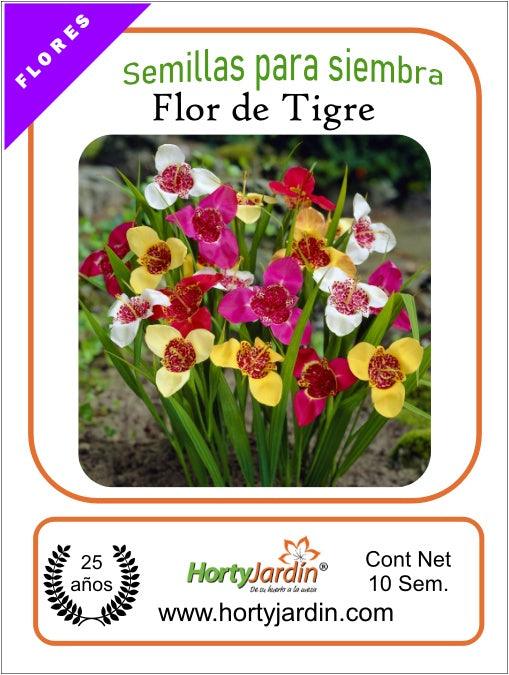 Semillas de Flor De Tigre - Hortyjardín