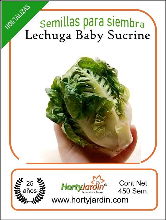 Semillas de Lechuga Baby Sucrine - Hortyjardín