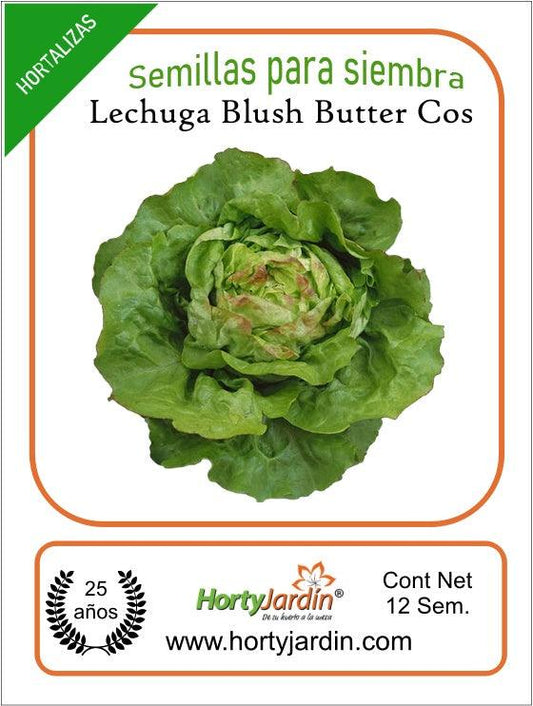 Semillas de Lechuga Blush Butter Cos - Hortyjardín