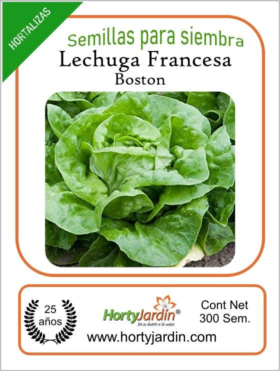 Semillas de Lechuga Francesa sobre - Hortyjardín