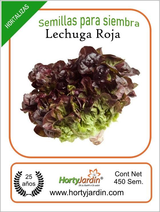 Semillas de Lechuga Roja - Hortyjardín