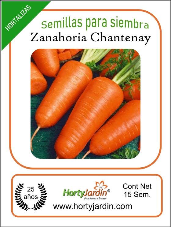 Semillas de Zanahoria Chantenai sobre - Hortyjardín
