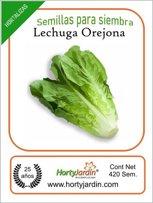 Semillas Lechuga Larga Orejona sobre - Hortyjardín