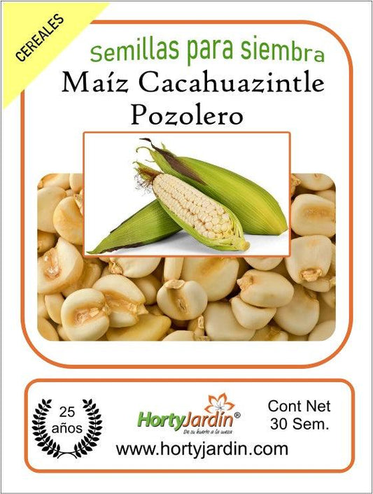 Semillas Maíz Cacahuacintle - Hortyjardín