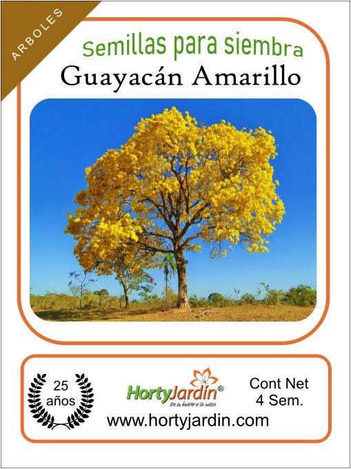 Semillas de árbol de Guayacán - Hortyjardín